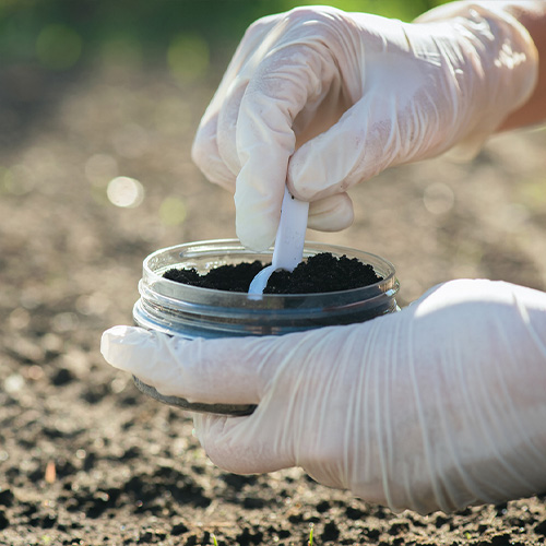 Phase II Environmental Site Assessments - LandScience